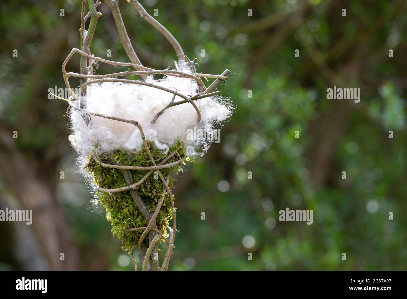 Nistmaterial Dispenser, Vögel im Garten werden Nistmaterial angeboten, Deutschland Stockfoto