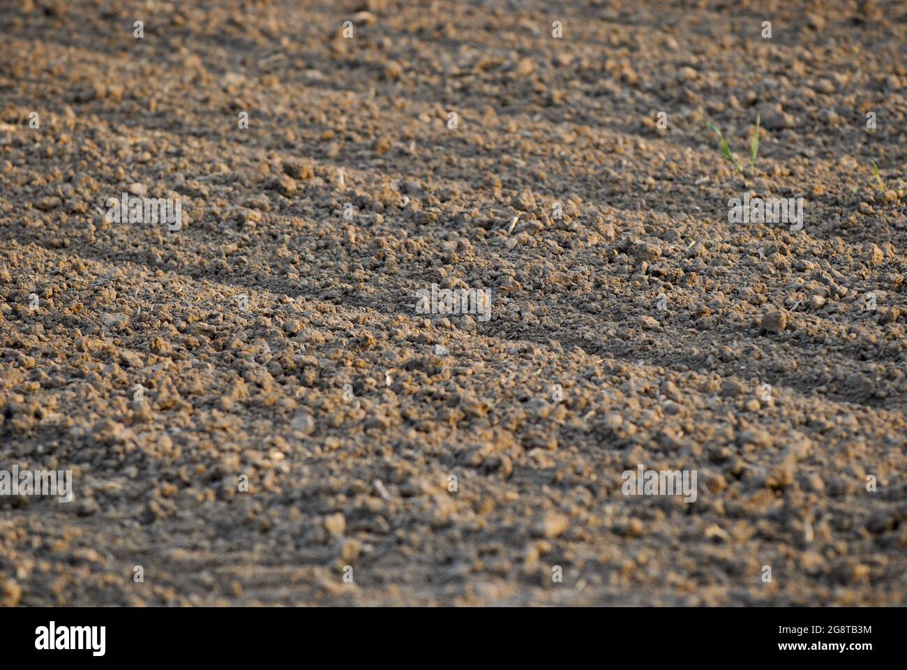 Furchen auf einem Feld, Deutschland Stockfoto