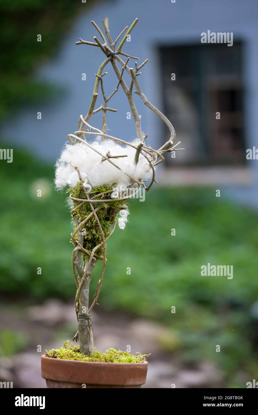 Nistmaterial Dispenser, Vögel im Garten werden Nistmaterial angeboten, Deutschland Stockfoto