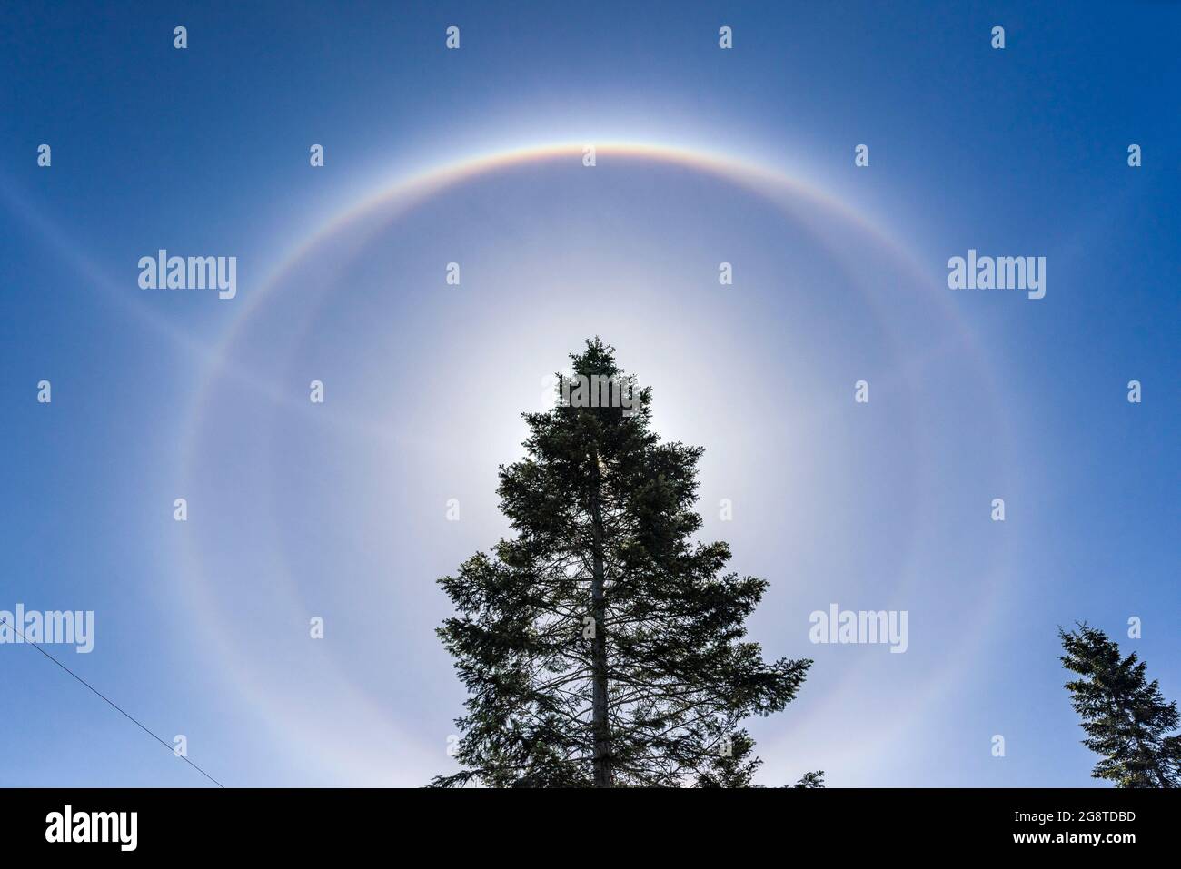 Atmosphärische Lichtshow, 22 Grad Lichthalo, geformt aus Eiskristallen mit zusätzlichen umschriebenen Halos, Comox Valley, British Columbia, Kanada. Stockfoto