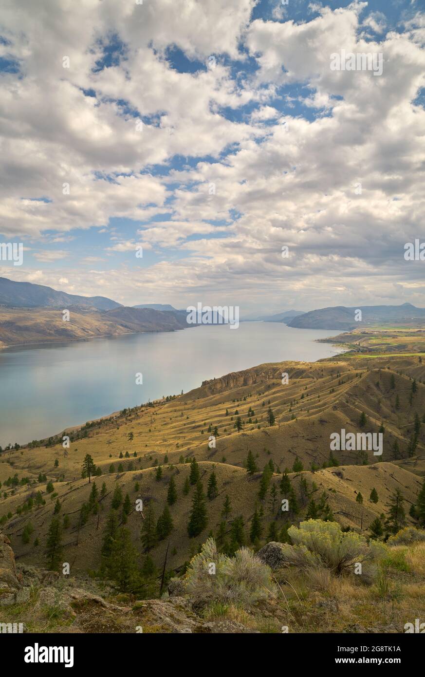 Kamloops Lake British Columbia vertikal. Kamloops Lake am Thompson River in British Columbia. Kanada. Stockfoto