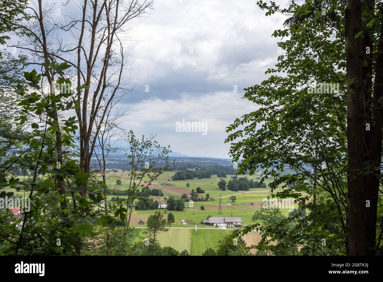 Bild einer Ebene in der Nähe von Bled, Slowenien, in der Region Gorenjska carniola, mit Wiesen, Bauernhöfen und landwirtschaftlichen Flächen. Stockfoto
