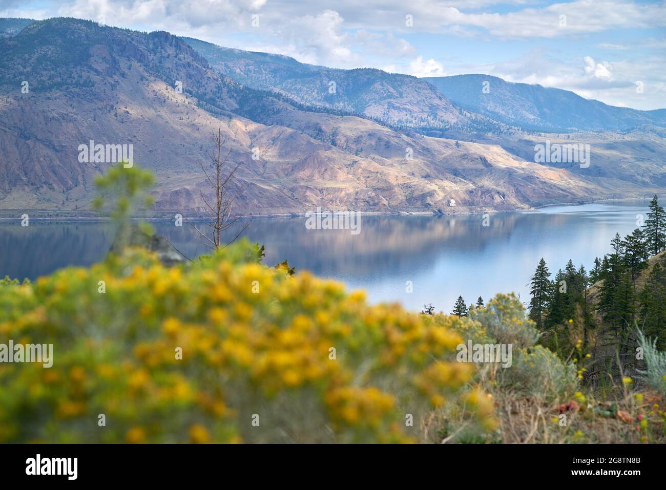 Kamloops Lake Reflection Kanada. Die trockenen Hügel spiegeln sich in Kamloops Lake am Thompson River in British Columbia. Kanada. Stockfoto