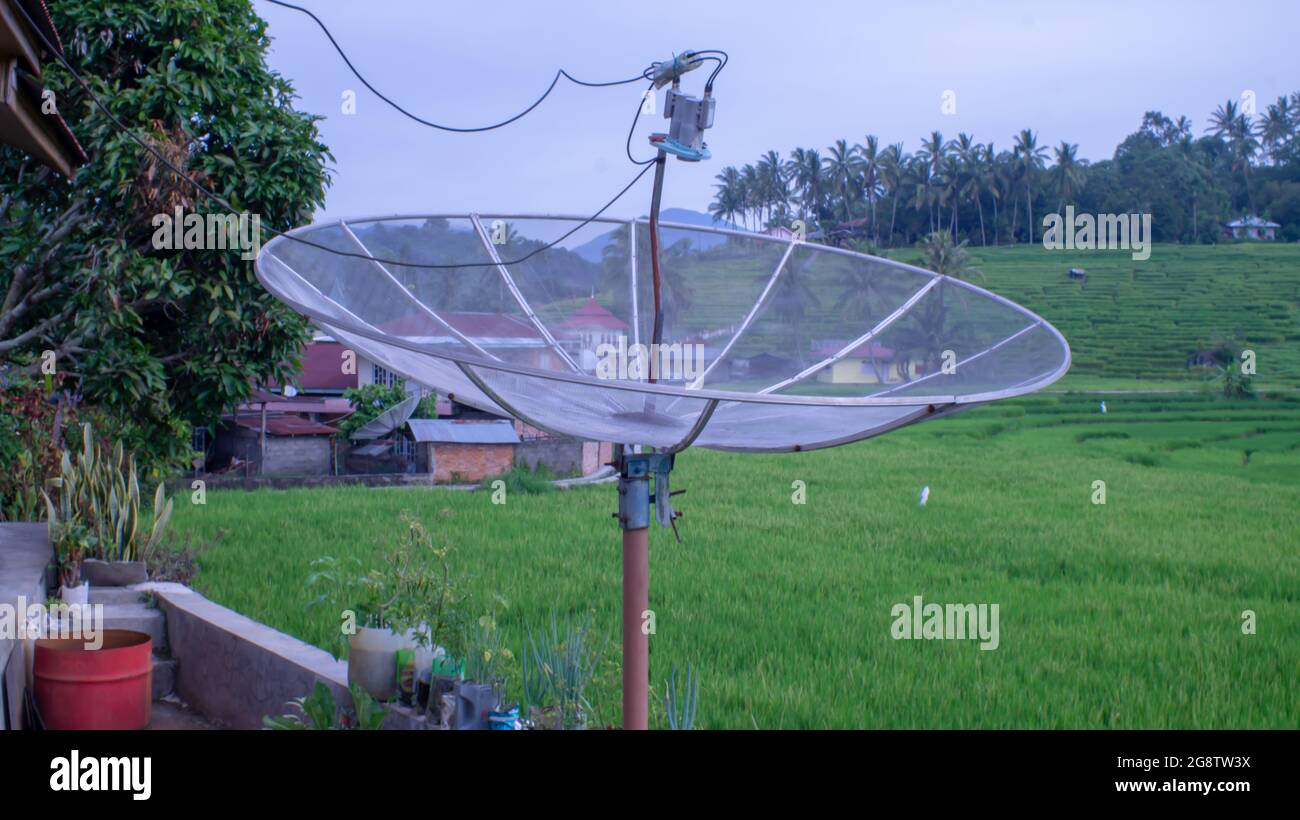 Satelliten-tv tagsüber mit Reisfeld-Hintergrund Stockfoto