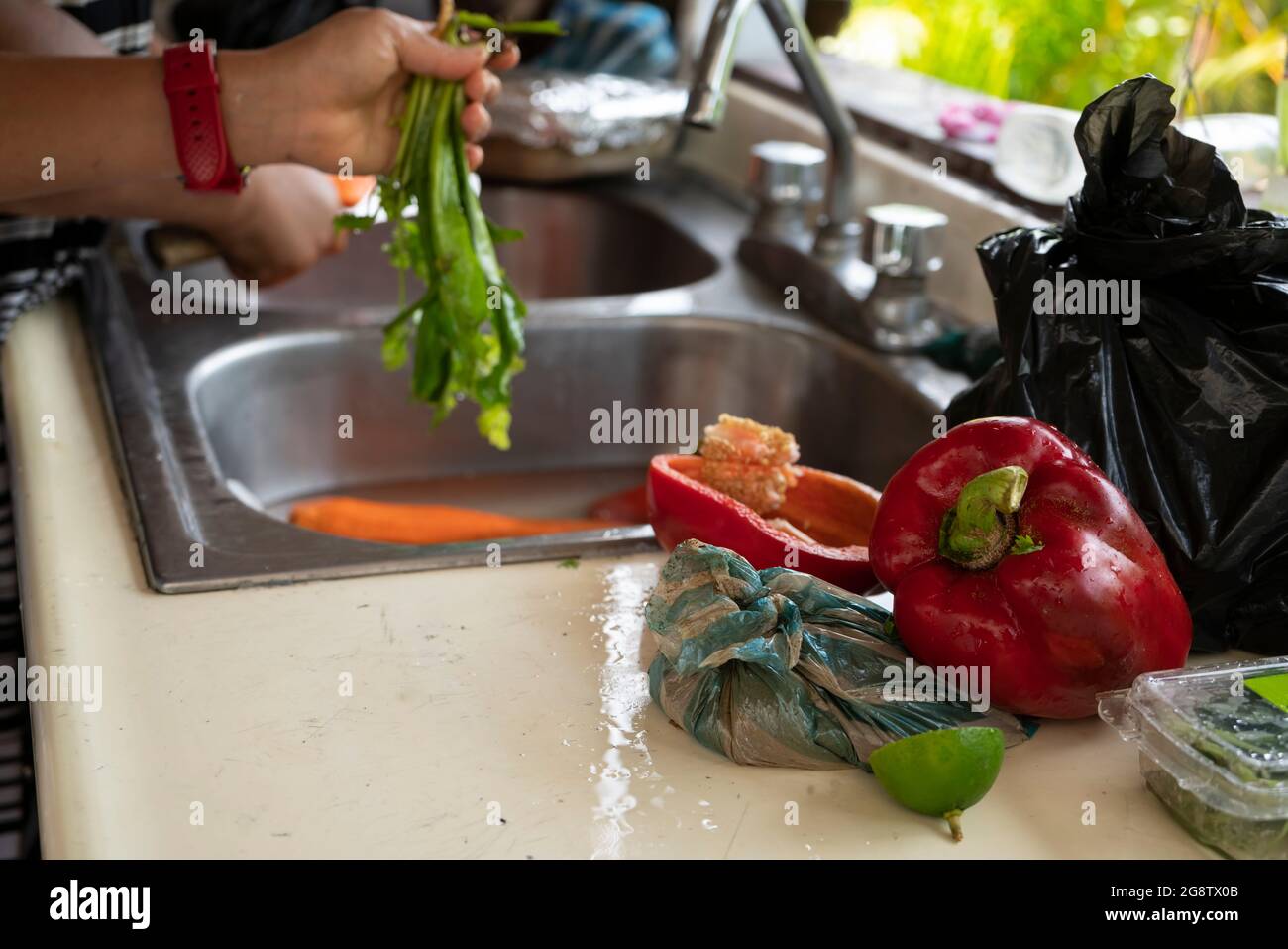 Dominikanische Sofrito-Zutaten und frische Puerto Rican Stockfoto