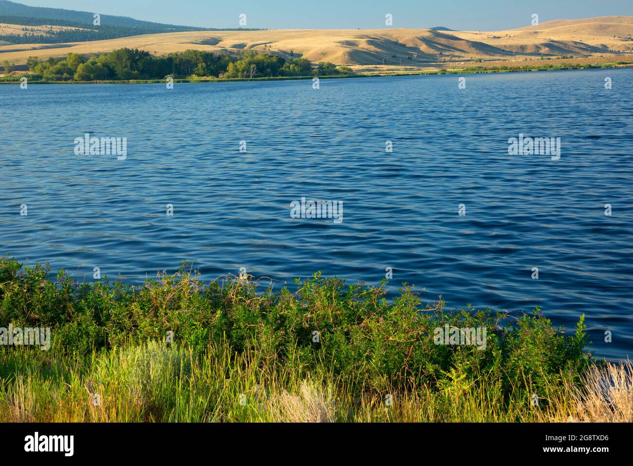 Pond 2 in Anaconda Settling Ponds, Warm Springs Ponds Wildlife Management Area, Montana Stockfoto