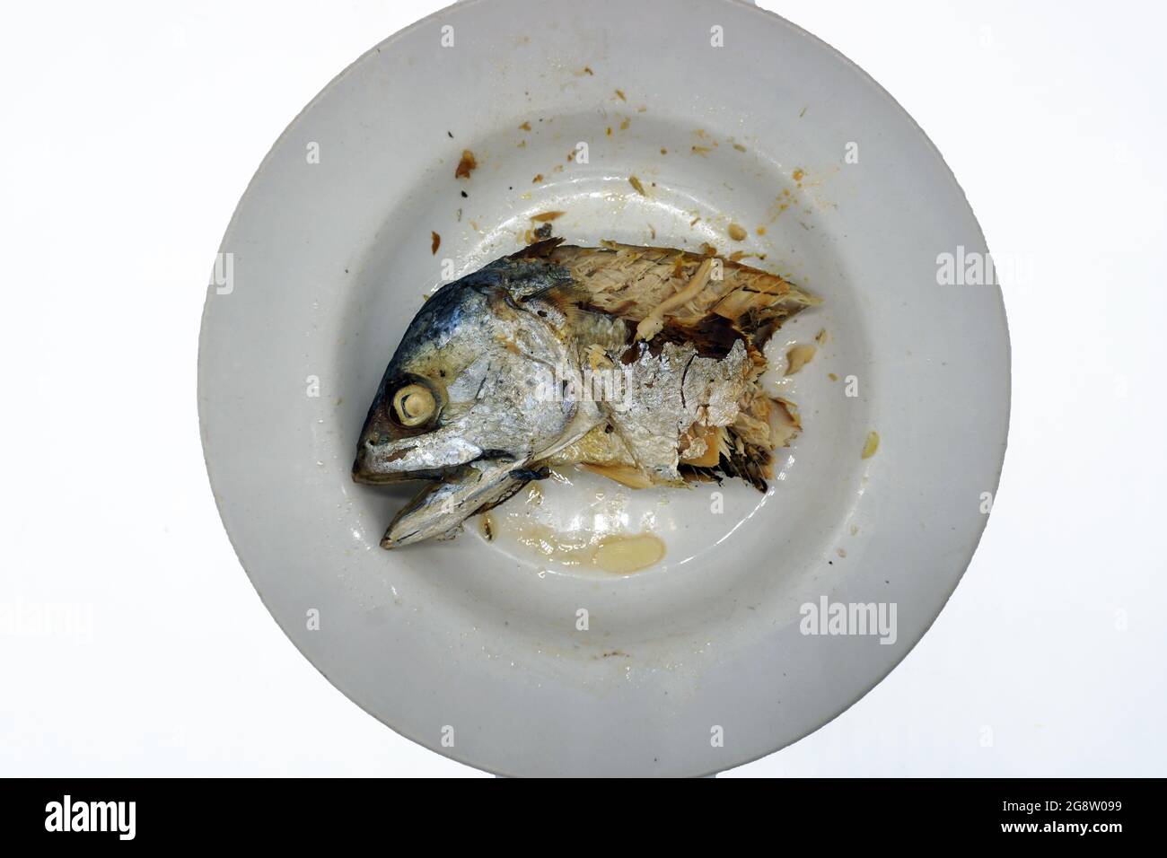 Ölgemälde von fancy Fisch Bilder Glück in dunkelblau Stockfoto