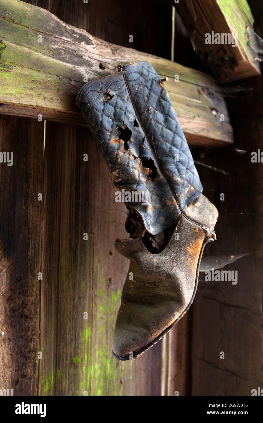 Ein abgenutzter Stiefel hängt in der Schafshütte auf der Lyons Ranch im Humboldt County, Kalifornien. Die Ranch wurde zwischen 1868 und 1959 als Teil der L betrieben Stockfoto