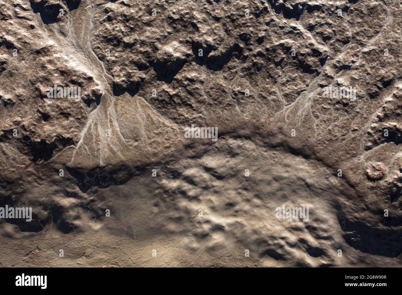 Mikroskalige geografische Merkmale im Schlamm nach einer Flußflut. Die Landschaft sieht aus wie Satellitenbilder, mit Schluchten, Flusstälern und Deltas. Stockfoto