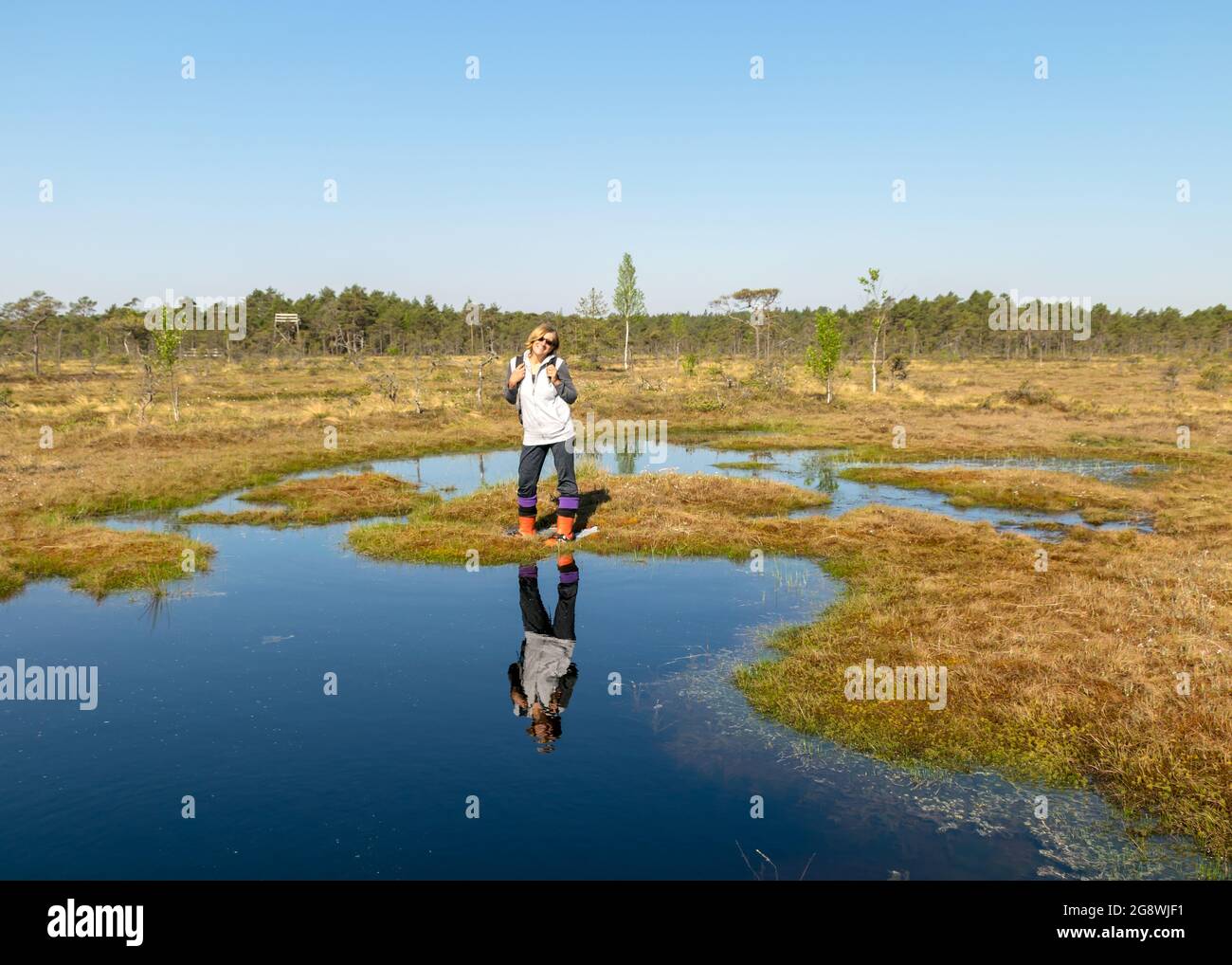 Schöne Sumpflandschaft mit blauem Himmel und Wasser, Frau genießt Sumpflandschaft, Wanderung mit Schneeschuhen im Sumpf, traditionelle Sumpfpflanzen, Moose und tr Stockfoto