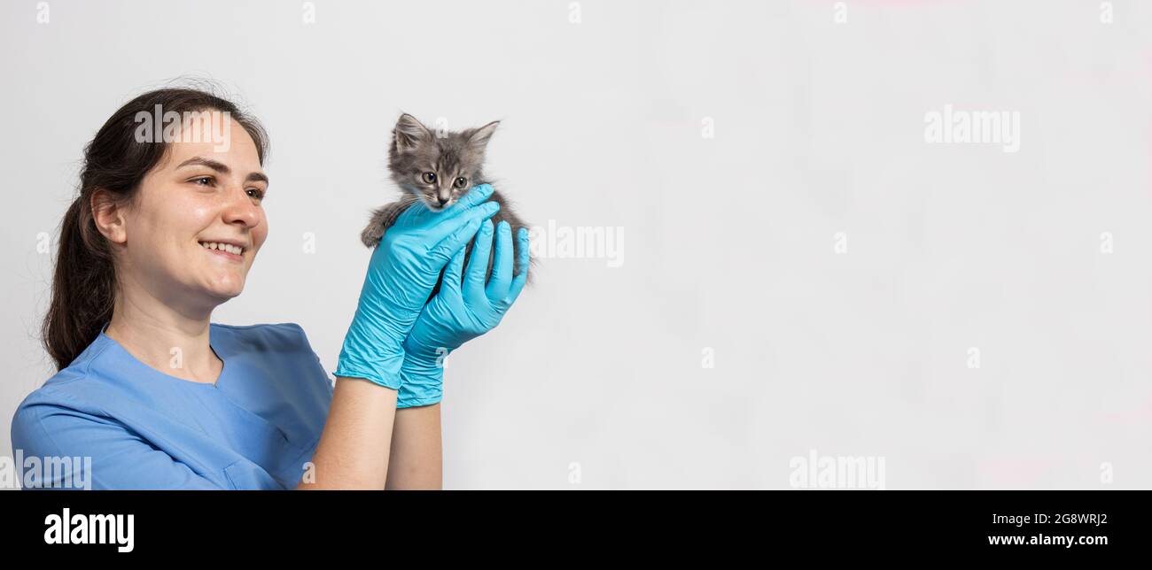 Eine Tierärztin für Tiere in einer medizinischen Uniform und Handschuhen hält ein kleines Kätzchen in der Hand. Veterinärklinik. Platz für Text-Banner kopieren. Stockfoto