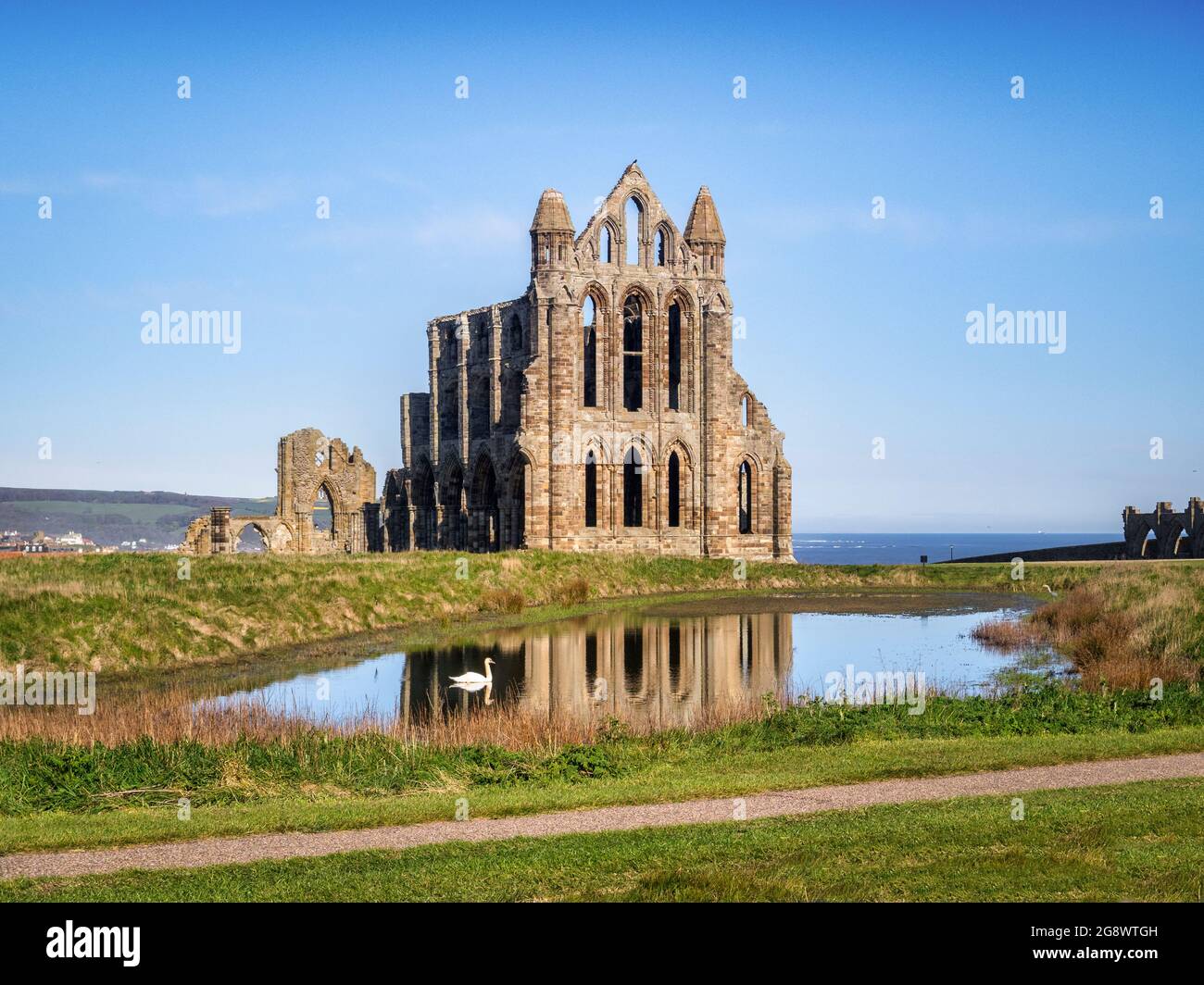 Das historische Whitby Abbey spiegelt sich in einem Pool mit einem Schwan wider. Von außerhalb des Klostergeländes. Echter Schwan, nicht später hinzugefügt. Stockfoto