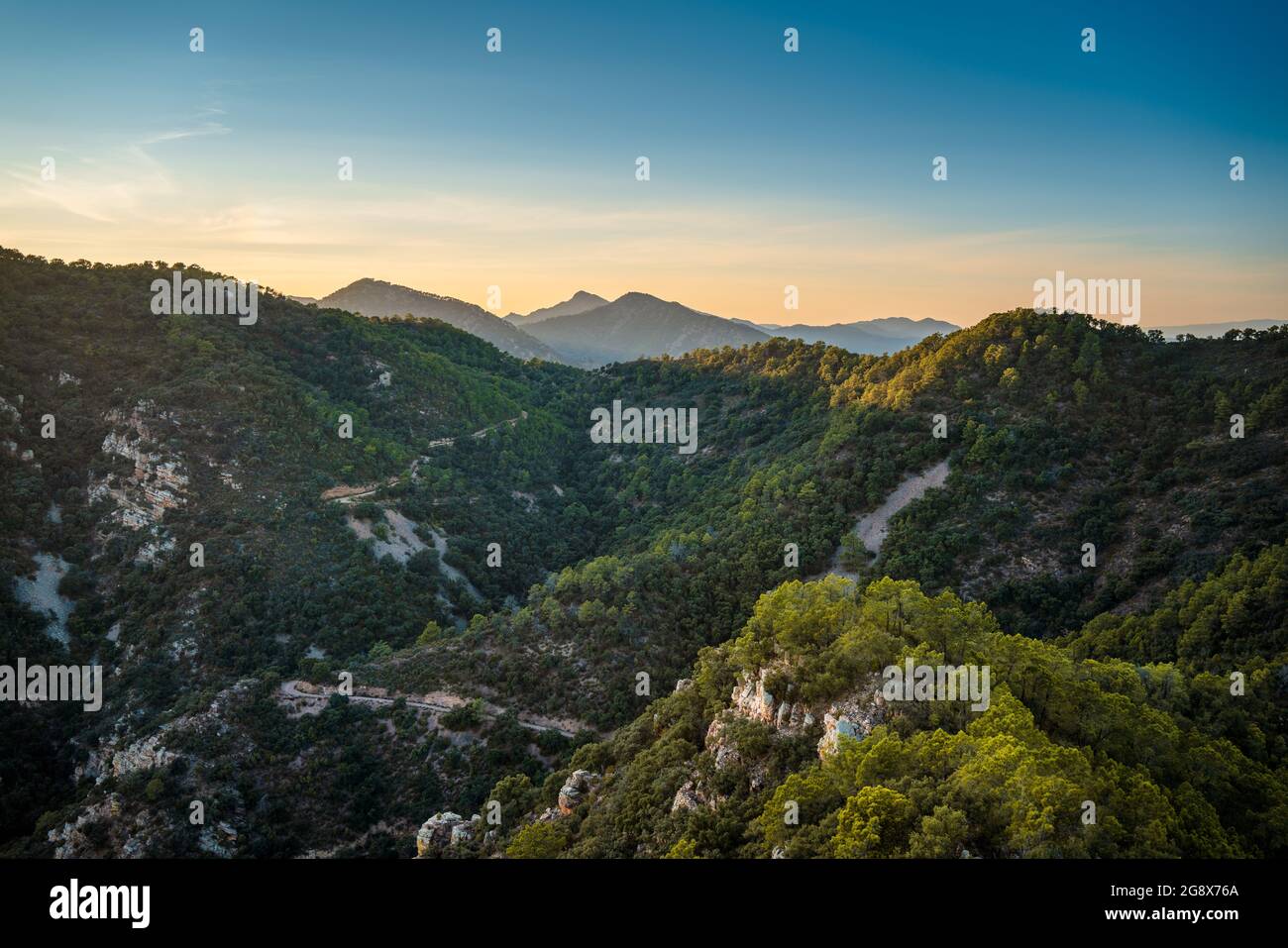 Bergige Landschaft mit Kiefern- und Korkeichen-Wald im Naturpark Sierra de Espadan, Region Valencia, Spanien. Stockfoto
