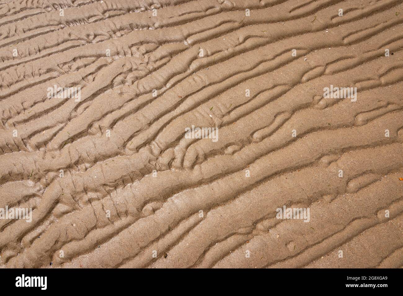 Geriffelte Sandstruktur Hintergrund des nassen Strandes. Stockfoto