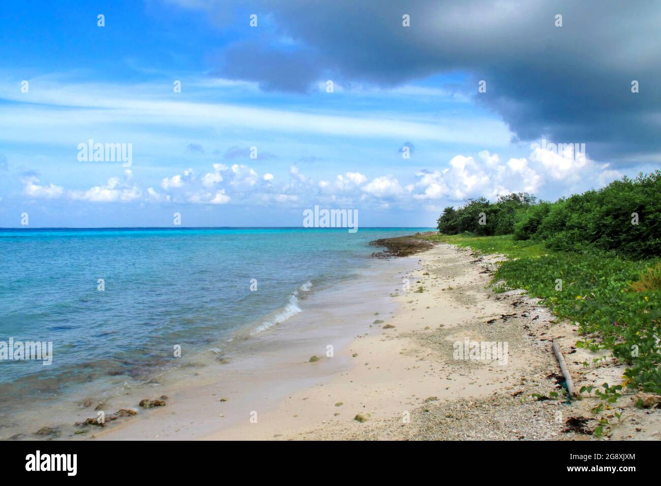 Strandlandschaft, Karibisches Meer, Playa Giron, Kuba, Amerika Stockfoto