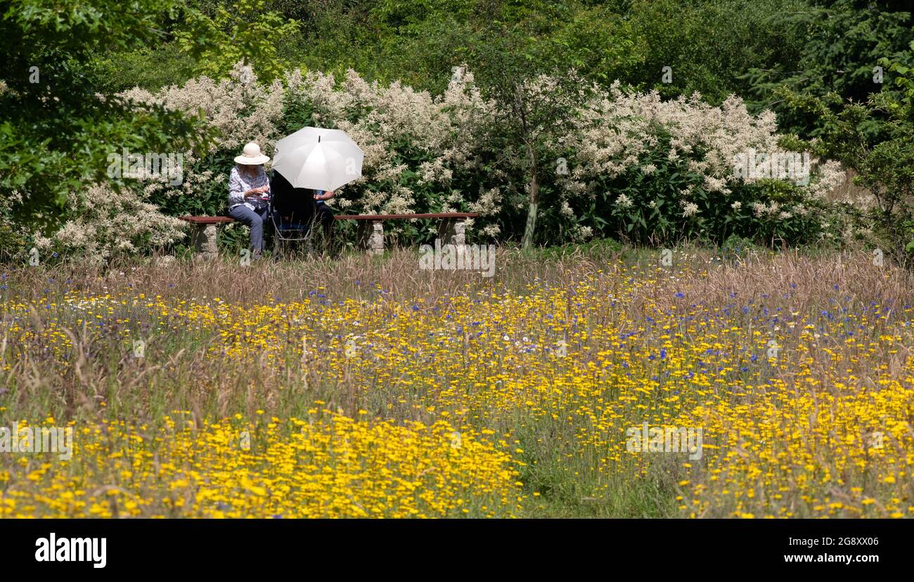 Paar mit Kinderwagen und Sonnenschirm im Breezy Knees Gardens Stockfoto