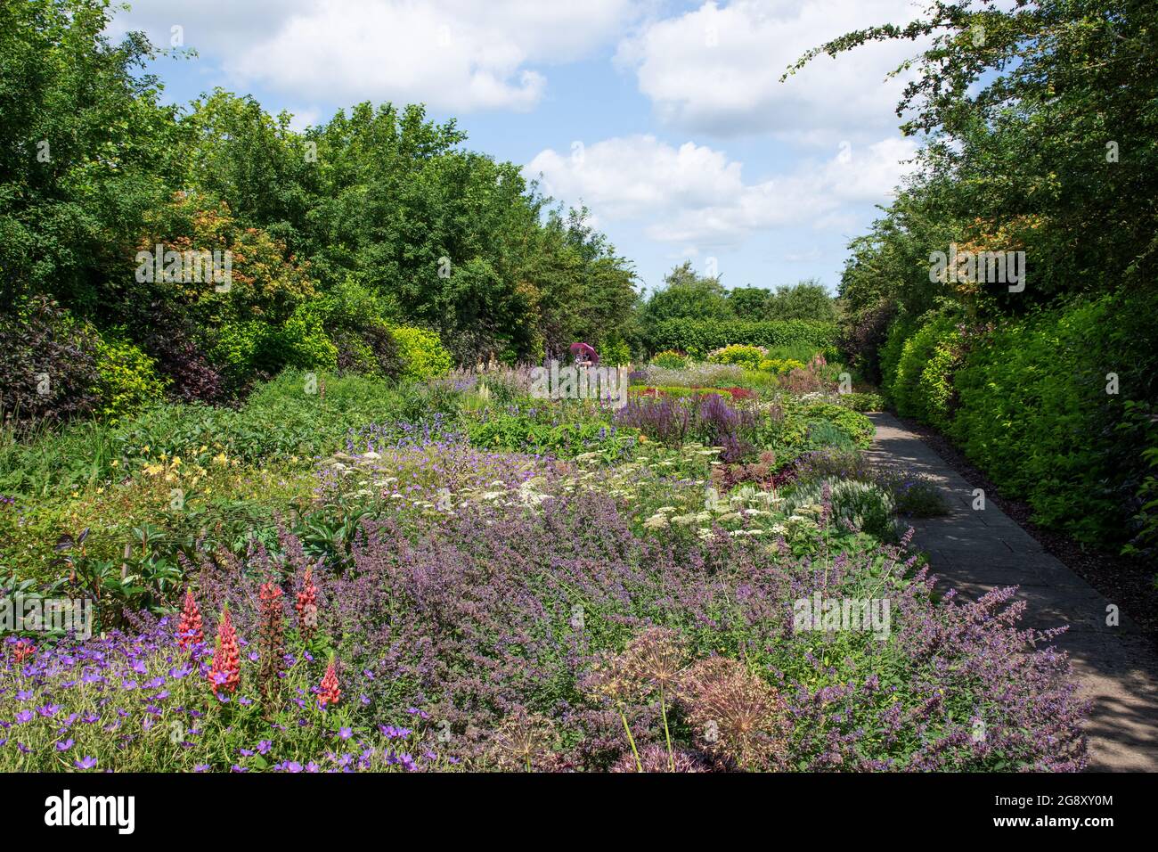 Der June Garden in Breezy Knees Gardens Stockfoto