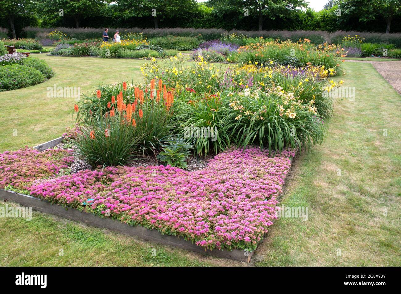 Pfingstrosen- und Seegarten in den Breezy Knees Gardens Stockfoto