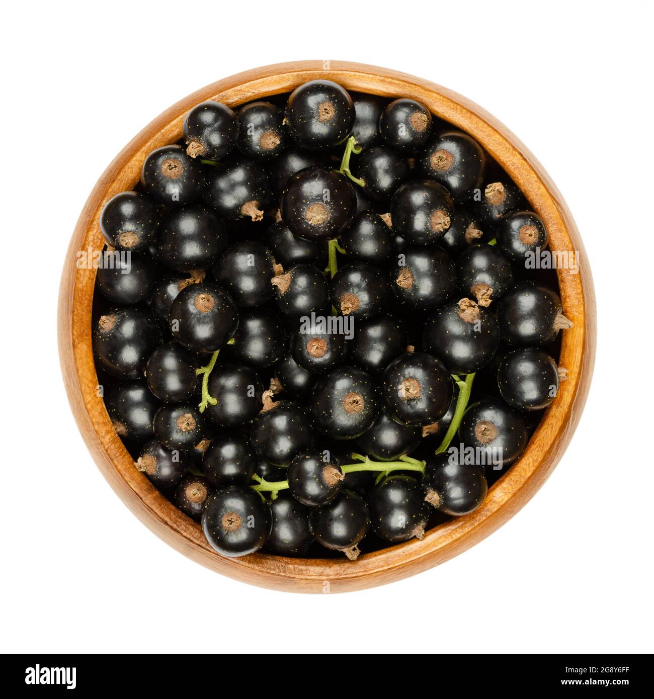 Schwarze Johannisbeeren, in einer Holzschale. Frische, reife schwarze Johannisbeerbeeren, auch bekannt als Cassis, kugelförmige essbare Früchte von Ribes nigrum. Stockfoto