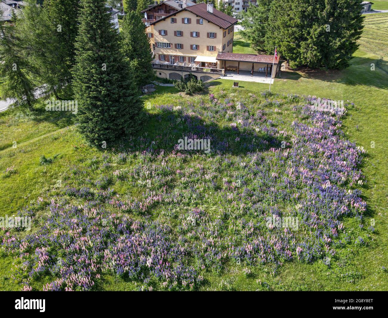 Schweiz garten haus Fotos und Bildmaterial in hoher Auflösung Alamy
