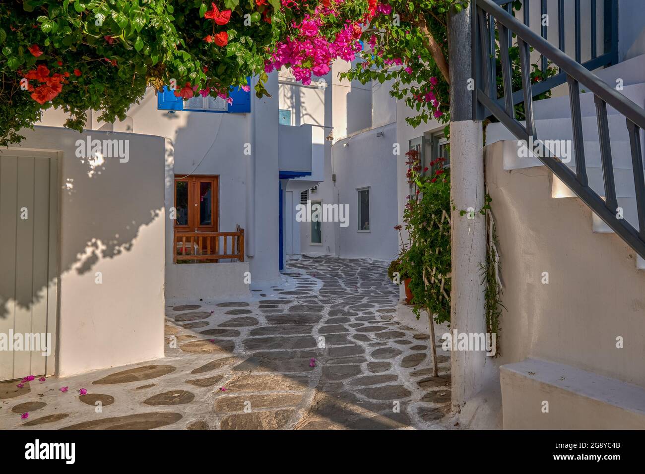 Wunderschöne traditionelle Straße in der griechischen Inselstadt. Weiß getünchte Häuser, blühende Bougainvillea, Kopfsteinpflaster. Mykonos, Griechenland Stockfoto