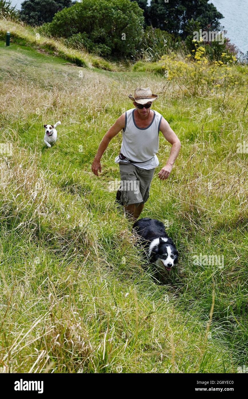 Mann wandern, 2 Hunde, Hügel, hohes Gras, Bewegung, Erholung, Haustiere, Geselligkeit, männlich Stockfoto