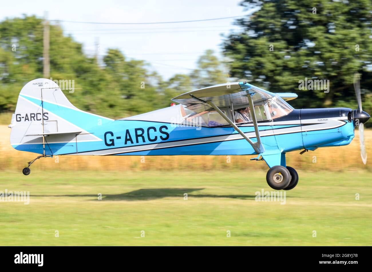 Auster D.6 Series 180 Classic plane G-BÖGEN, die auf dem Grasstreifen von Damyns Hall landen. Erbaut 1960, Entwicklung des Auster Autocar Stockfoto