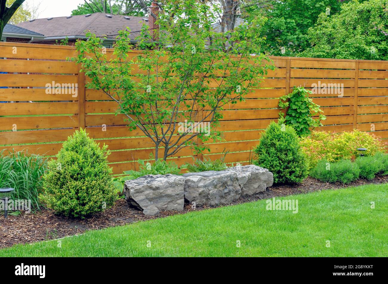 Dieser asiatisch inspirierte und wunderschön gepflegte Garten verfügt über Steinzäune und einen minimalistischen Zedernzaun mit horizontalen Brettern. Stockfoto