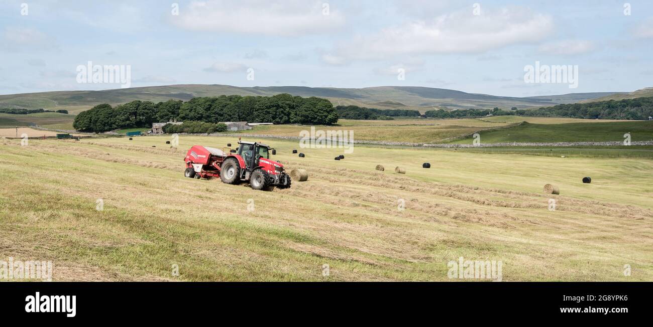 Heumacherei in Malhamdale Stockfoto