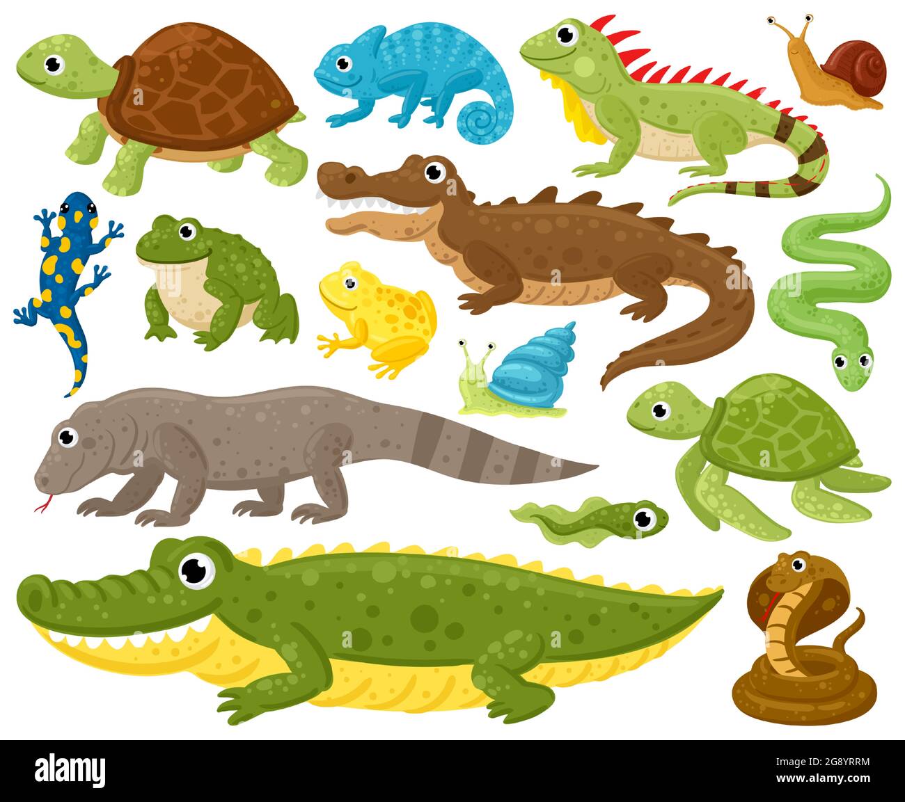 Cartoon Amphibien und Reptilien. Schlange, Reptil und Amphibien, Frosch, Schildkröte, Leguan und Python Vektor Illustration Set. Wildtiere Reptilien und Stock Vektor