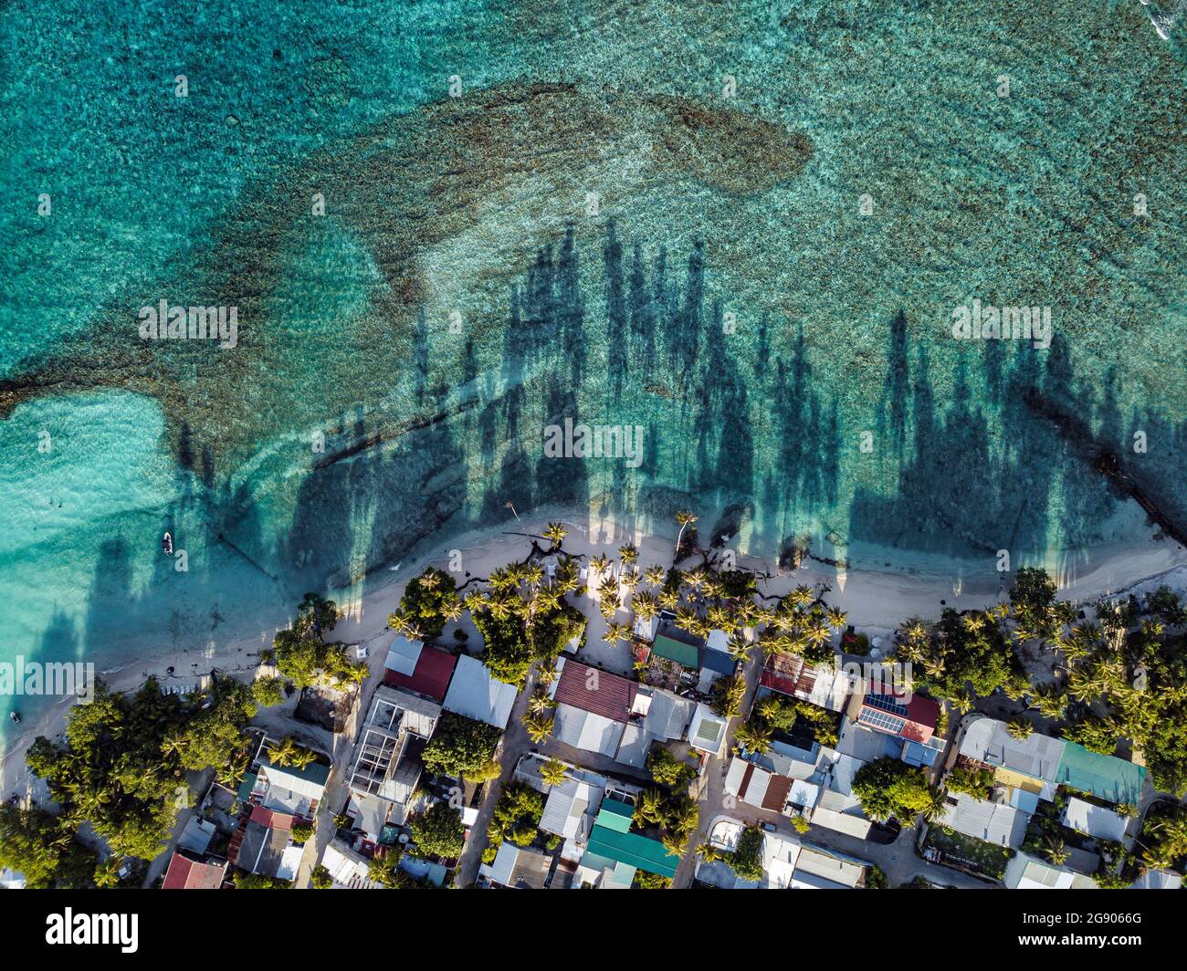 Häuser inmitten von Bäumen auf Thulusdhoo Island, Kaafu Atoll, Malediven Stockfoto