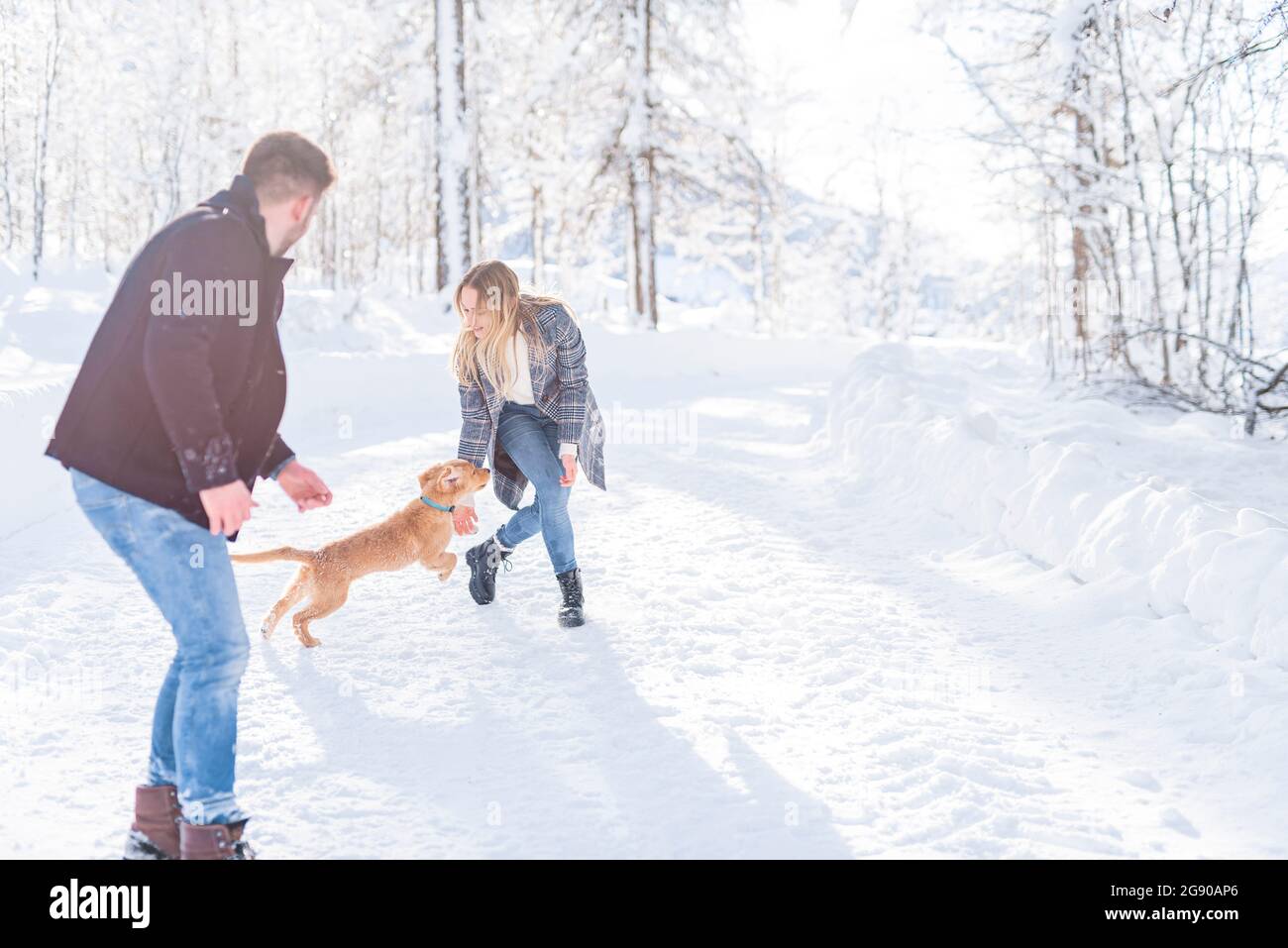 Freund und Freundin spielen im Urlaub mit Hund im Schnee Stockfotografie -  Alamy