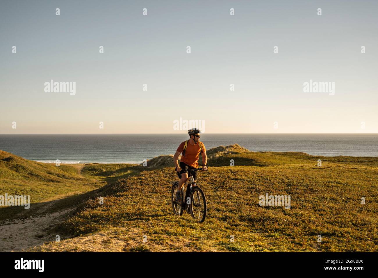 Männlicher Sportler, der bei Sonnenuntergang auf grüner Landschaft radelt Stockfoto