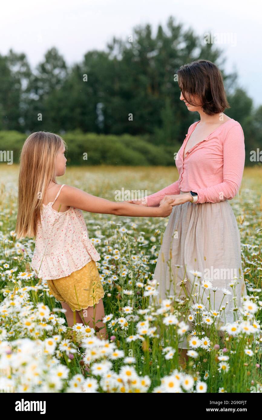 Tochter hält die Hände der Mutter, während sie auf dem Kamillenfeld schleift Stockfoto