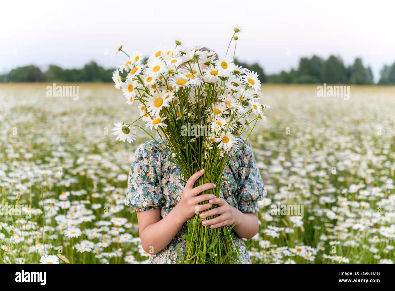 Mädchen bedeckt Gesicht mit Blumenstrauß auf dem Feld Stockfoto