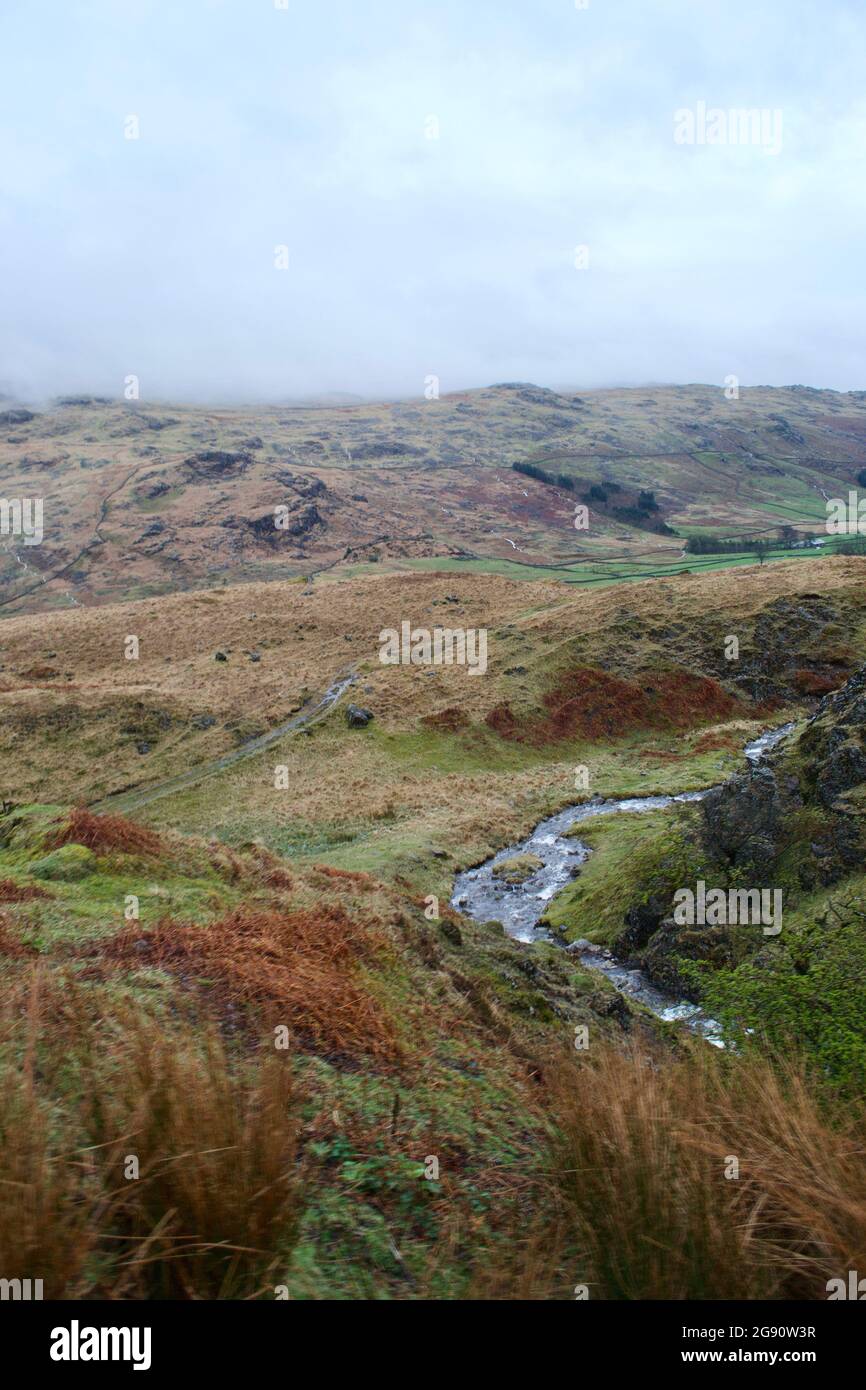 Ein schneller, rauschender Gebirgsbach, der ein Tal zwischen braunem und grünem Moor und Moor hinunterstürzt. Lake District, Cumbria, England, Großbritannien Stockfoto