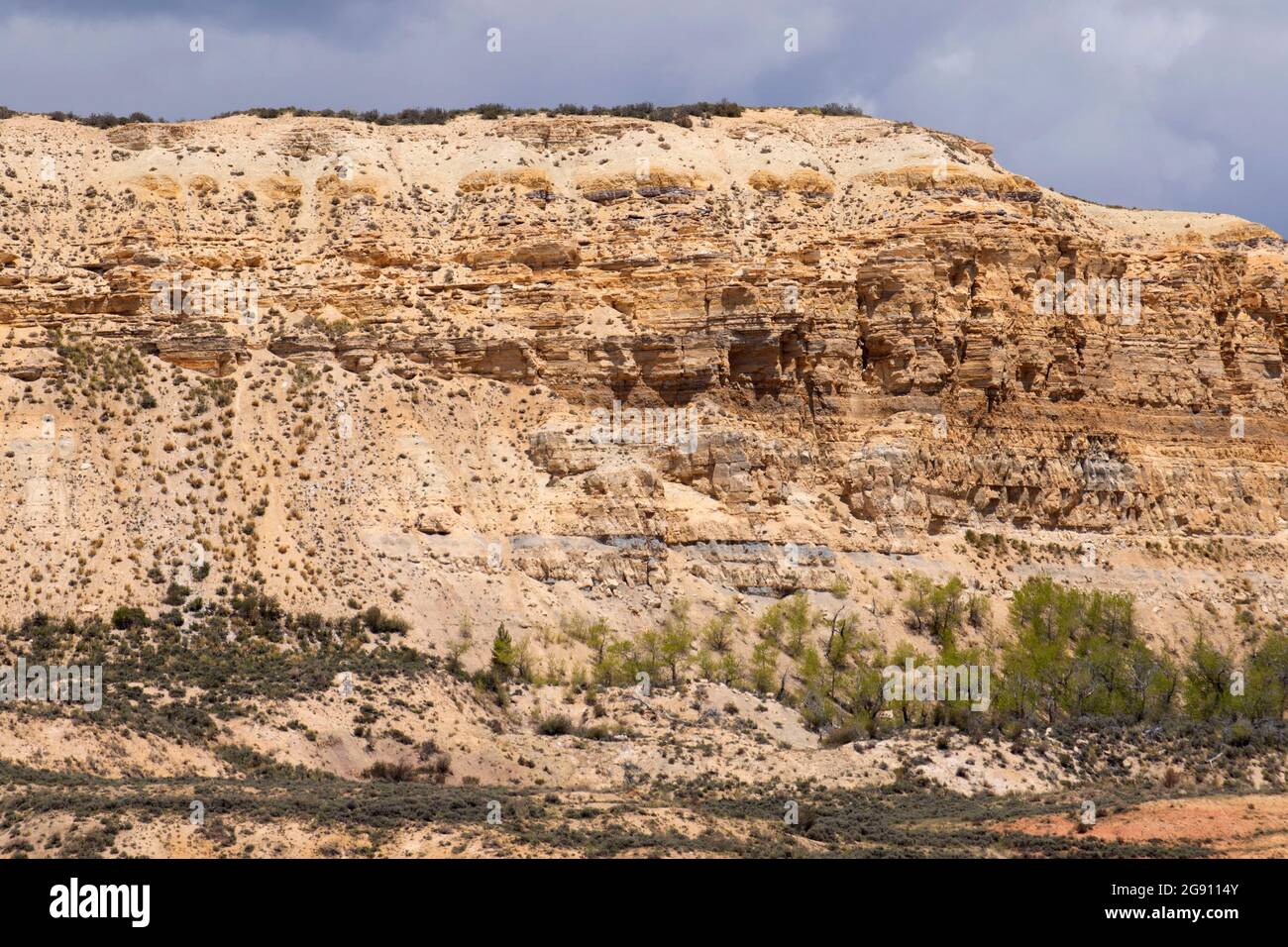 Fossil Butte, Fossil Butte National Monument, Wyoming Stockfoto