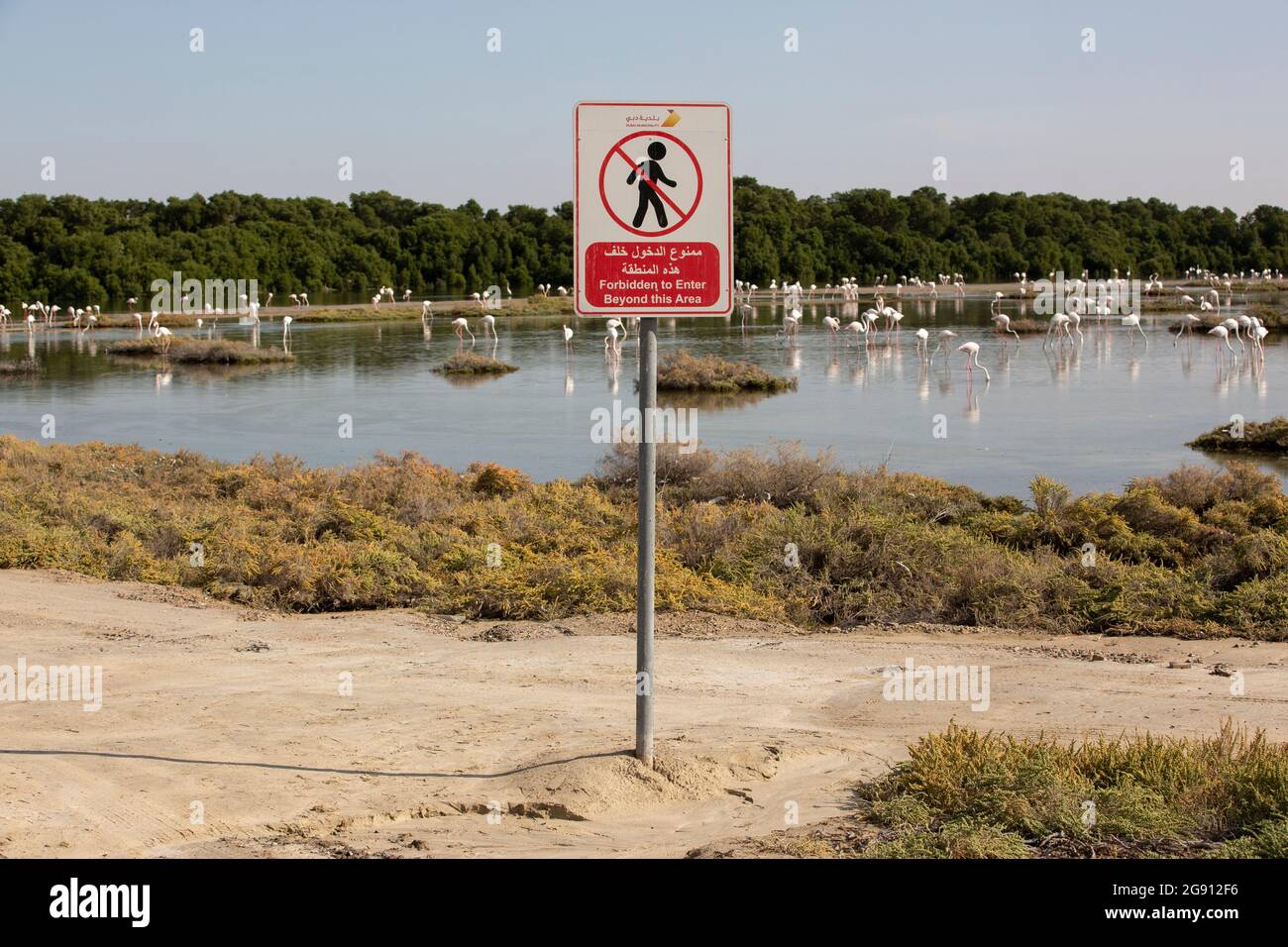 Schilder im Feuchtgebiet Ras Al Khor in Dubai, VAE. Stockfoto