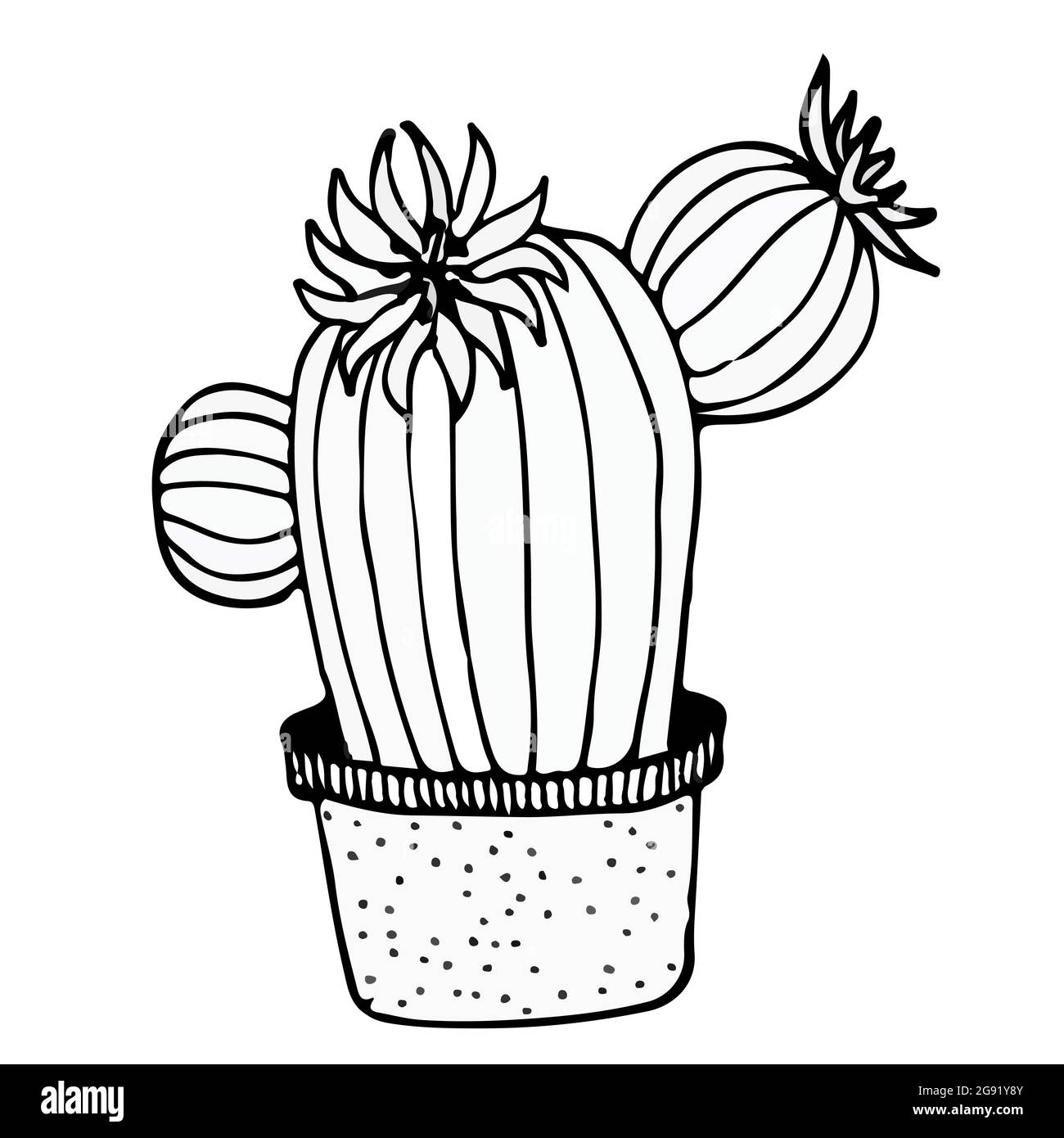 doodle Illustration Kaktus schwarz auf wei Stock-Vektorgrafik - Alamy