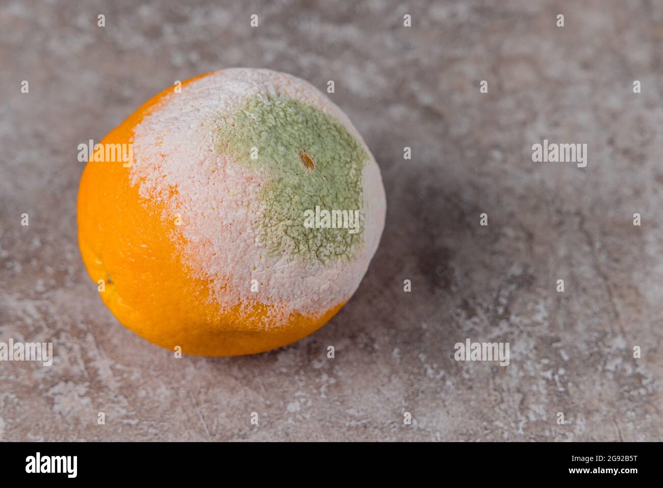 Verwöhntes Orange mit weißem und grünem Schimmel auf dem Tisch. Stockfoto