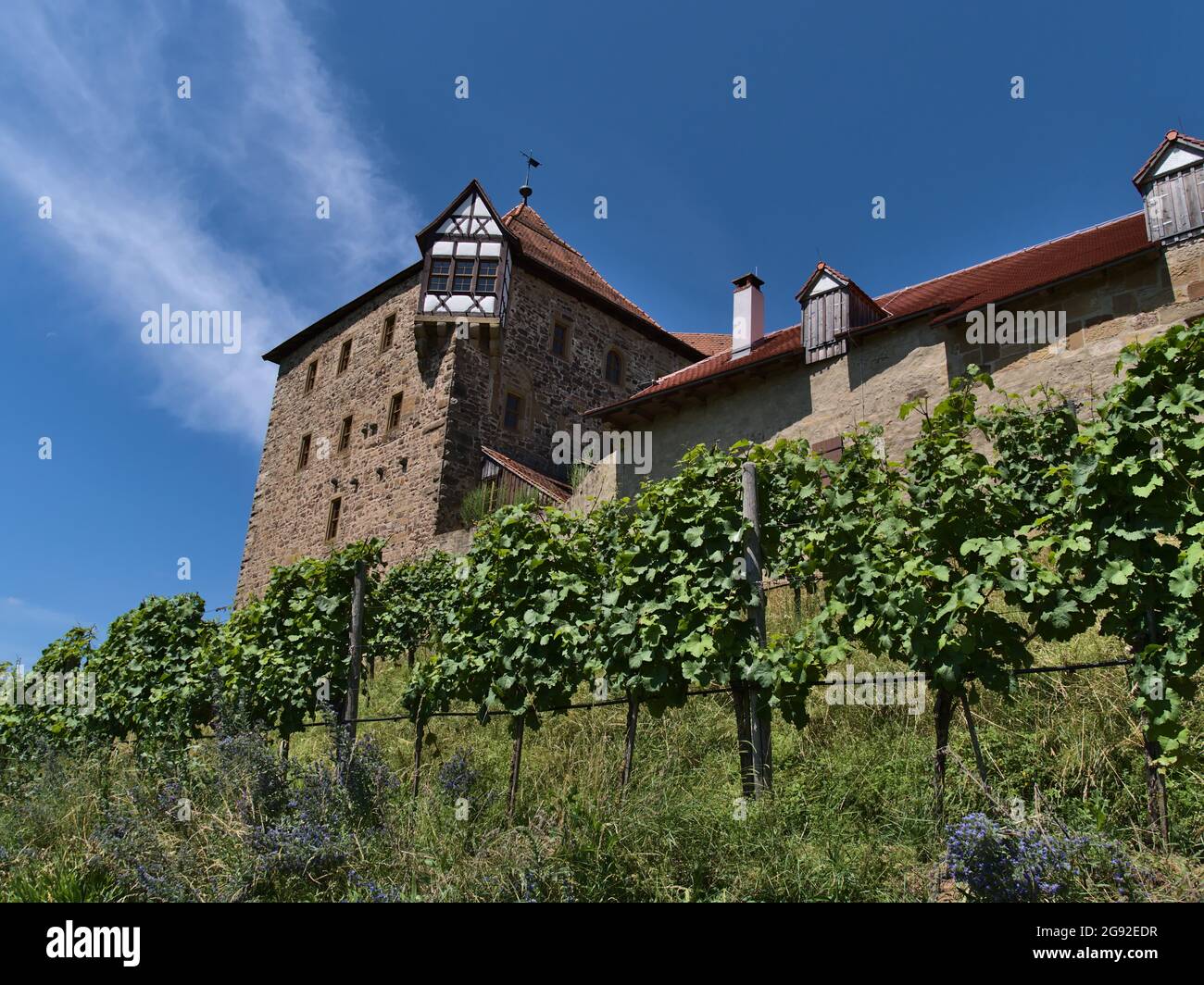 Low-Angle-Ansicht der historischen Burg Burg Wildeck (gebaut ca. 12. Jahrhundert) mit Steinmauer in Abstatt, Baden-Württemberg, Deutschland am sonnigen Sommertag. Stockfoto