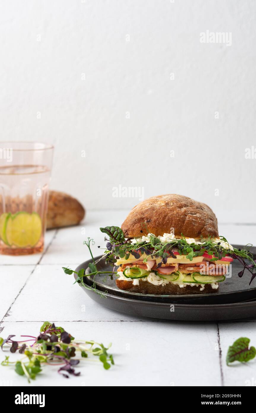 Brötchen mit Wurst, Käse und Gurken, Microgreens und Mozzarella und Radieschen, köstlicher herzhafter Burger aus nächster Nähe auf einem zu Hause gekochten Teller Stockfoto