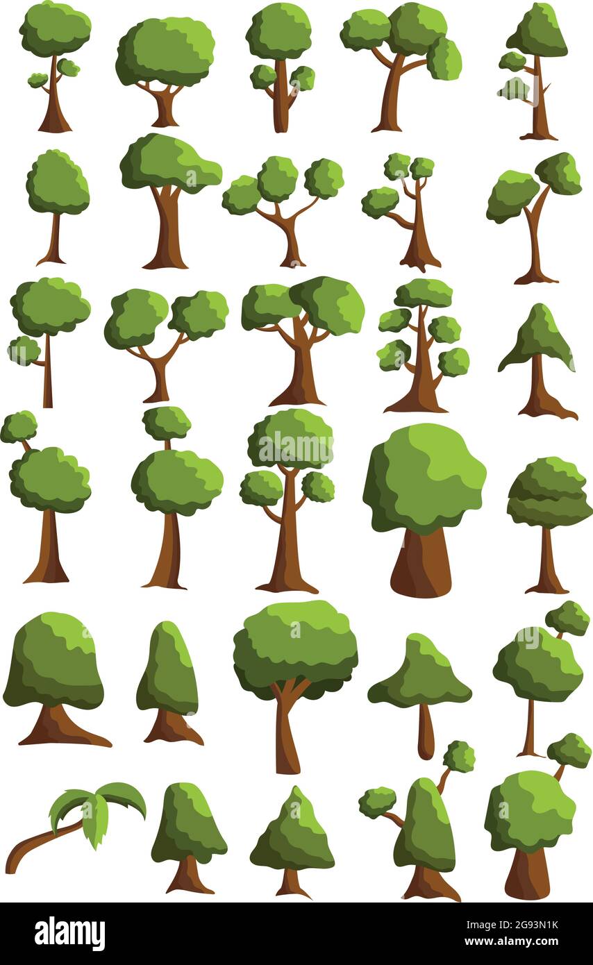 Seth-Bäume aus verschiedenen Klimazonen auf weißem Hintergrund - Vektorgrafik Stock Vektor