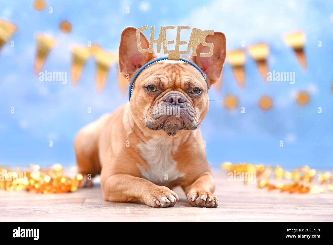 Französische Bulldogge mit Geburtstagsteil Stirnband mit Wörtern Cheers vor verschwommenem blauem Hintergrund mit Girlanden und Partystreamern Stockfoto
