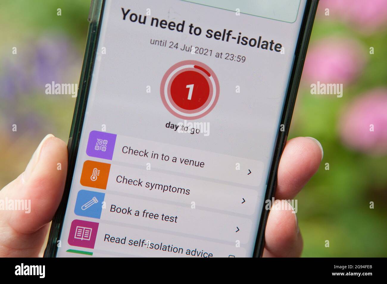 London, Großbritannien, 24. Juli 2020: Ein Mobiltelefon zeigt den letzten Tag einer NHS Covid-Selbstisolierungsbenachrichtigung an, wie Hunderttausende von Menschen in der „Pingdemic“. Die Unterbrechung der Lebensmittelversorgungsketten, der Bahnfahrpläne und der Müllabfuhr wurde durch die große Zahl von Arbeitern verursacht, die von der App angepingt wurden, was jedoch auf die steigende Zahl von Coronavirus-Fällen zurückzuführen ist, bei denen in der letzten Woche über 300,000 Menschen positiv getestet wurden. Es wird erwartet, dass die Unterbrechung mehrere Wochen andauern wird. Anna Watson/Alamy Live News Stockfoto