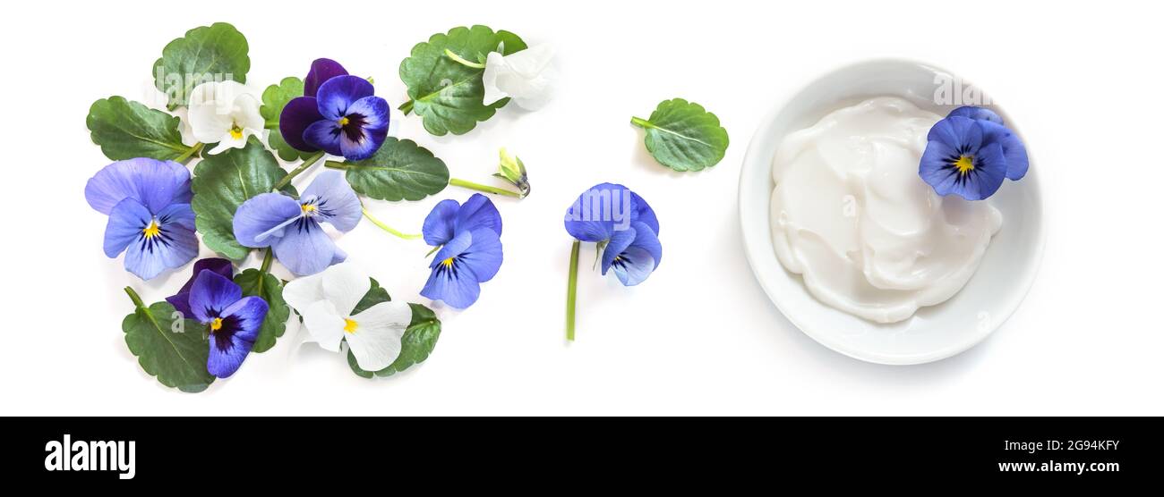 Violette oder violette Blüten und Blätter sowie eine Schale mit Naturkosmetik-Balsam, isoliert mit kleinen Schatten im Panorama-Bannerformat, Hochwinkel-Ansicht von hier Stockfoto