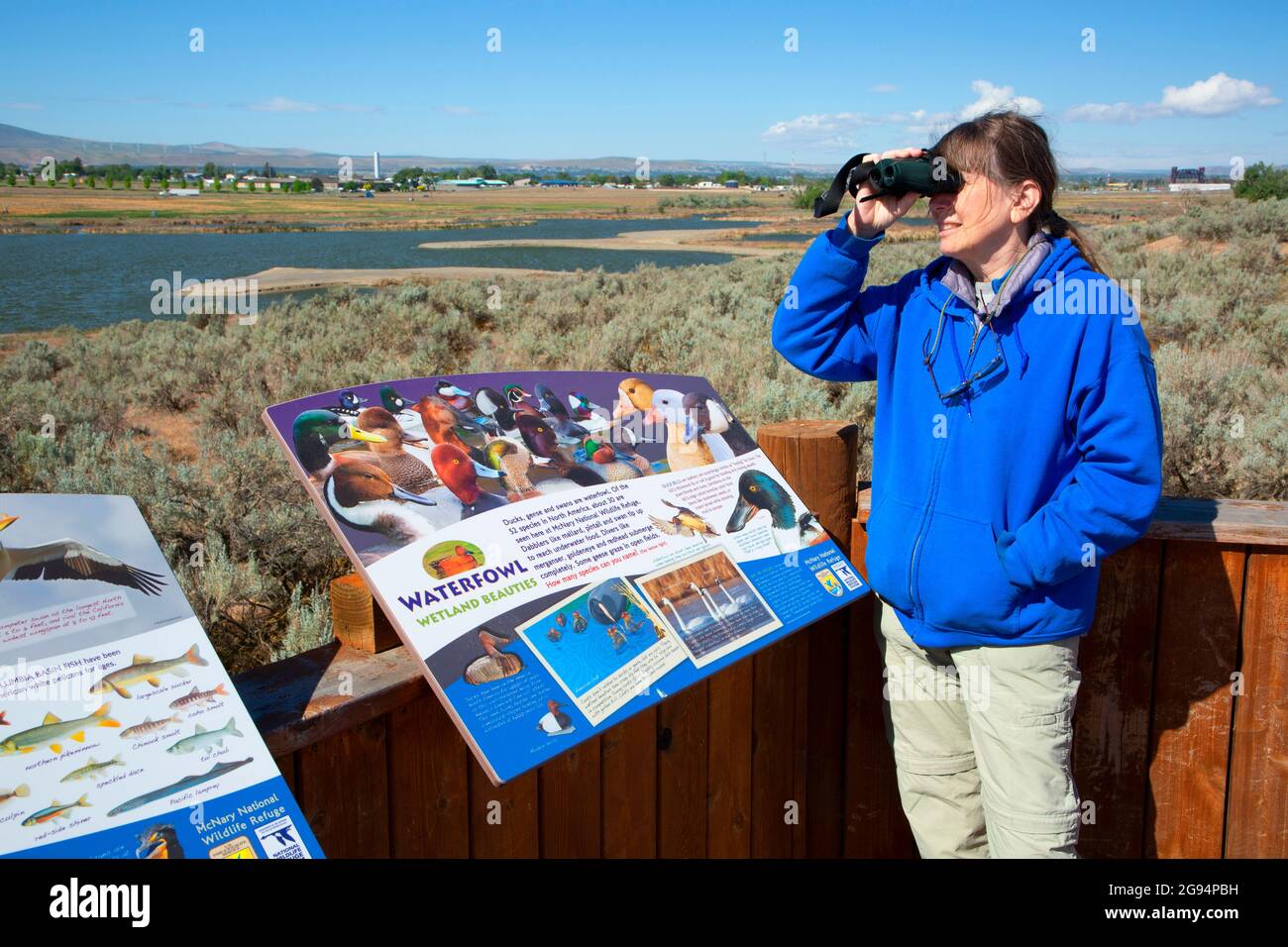 Informationstafel auf der Aussichtsplattform, McNary National Wildlife Refuge, Washington Stockfoto