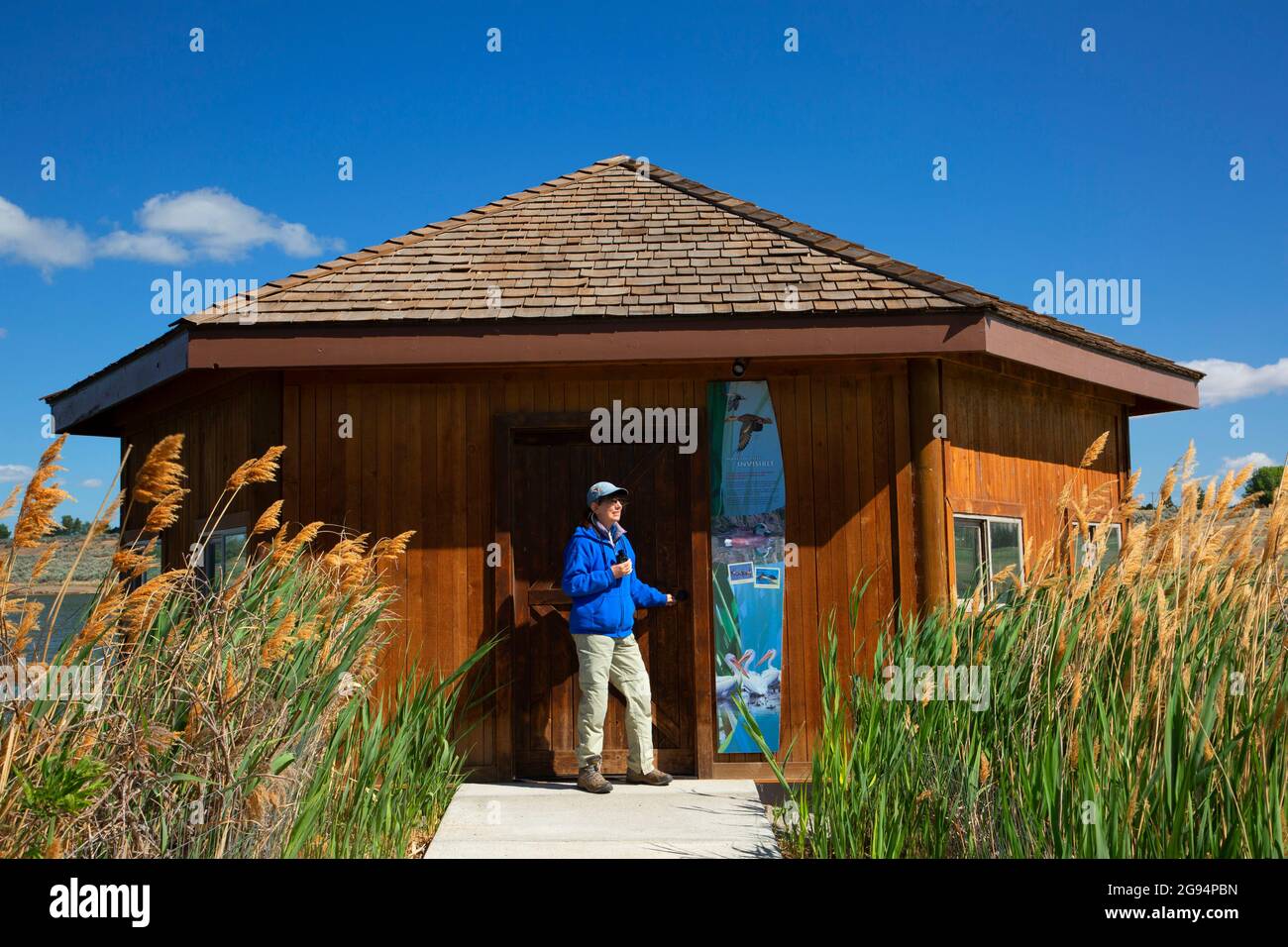 Bird Blind on Burbank Slough, McNary National Wildlife Refuge, Washington Stockfoto