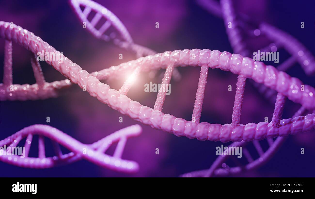 Konzept der Biochemie mit dna-Molekül. 3D-Modell und Illustration. Stockfoto
