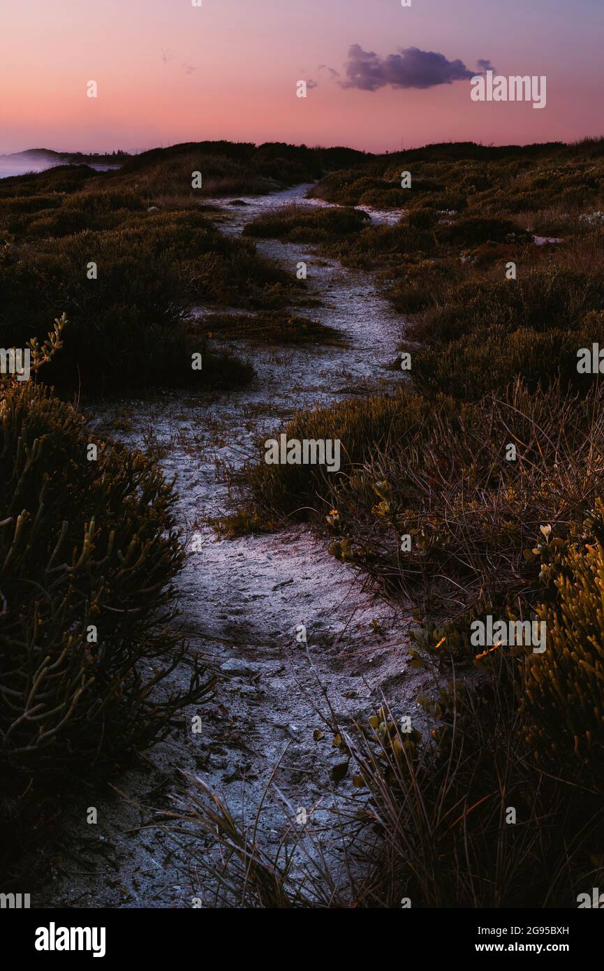 Der Weg zur einsamen Wolke mit diesen schönen Gräsern auf beiden Seiten war eine so perfekte Szene und so erstaunliche Lichtverhältnisse. Stockfoto